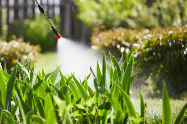 24/7 Emergency Fumigation Services experts in Lindsay, OK