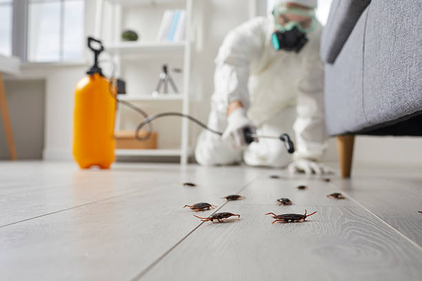 Trusted Cockroach Control service in Lindsay, OK - Nex Pest Control