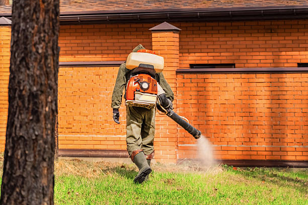 Trusted Bed Bug Control service in Lindsay, OK - Nex Pest Control